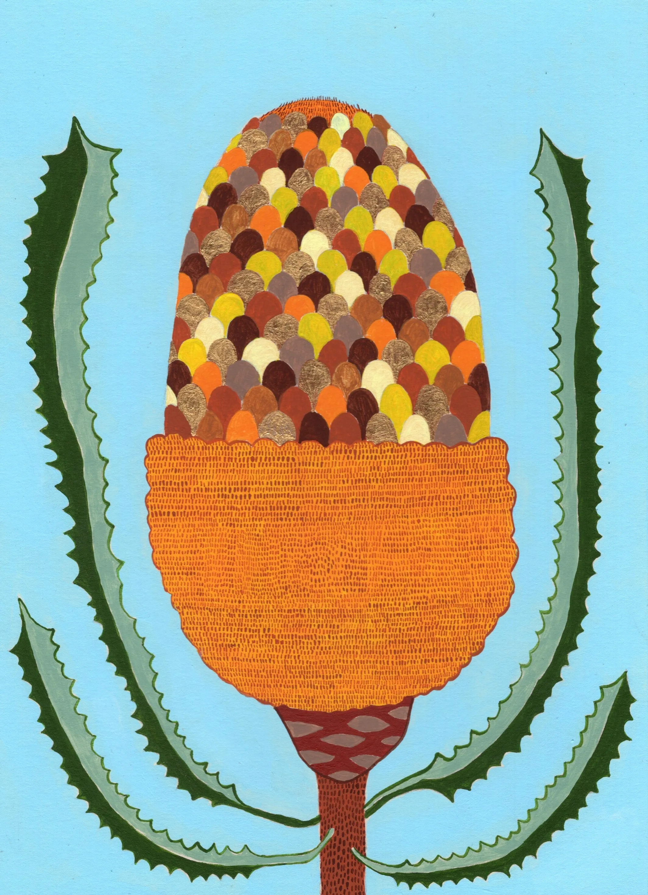 Louise Hamill - Banksia A3 Print (lha006)