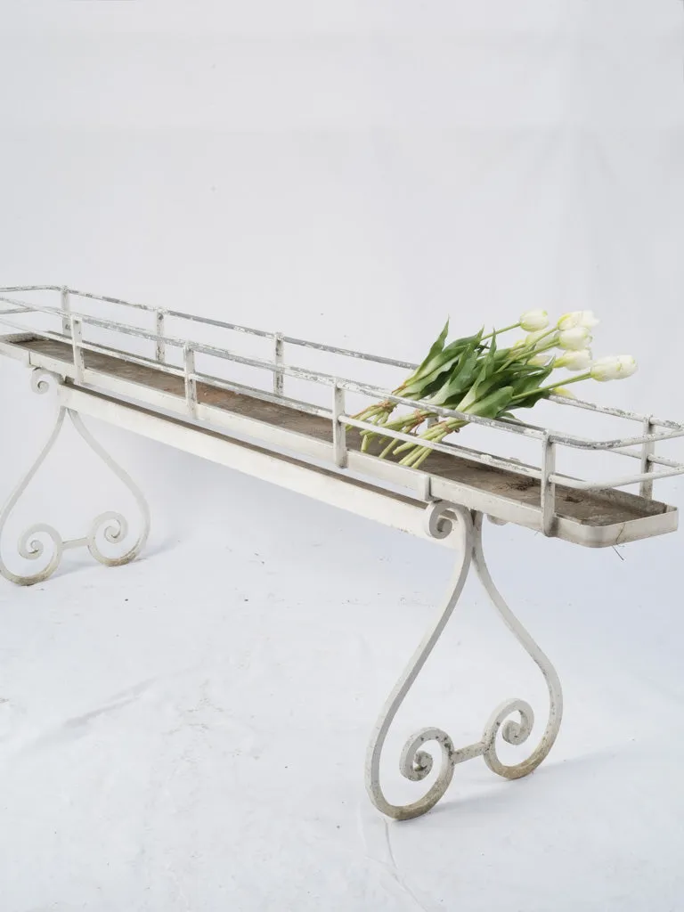 Mid-Century French Iron Planter with Scrollwork Legs 27¼"